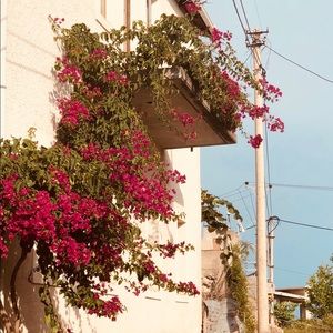 Meet your Posher, Klaudia